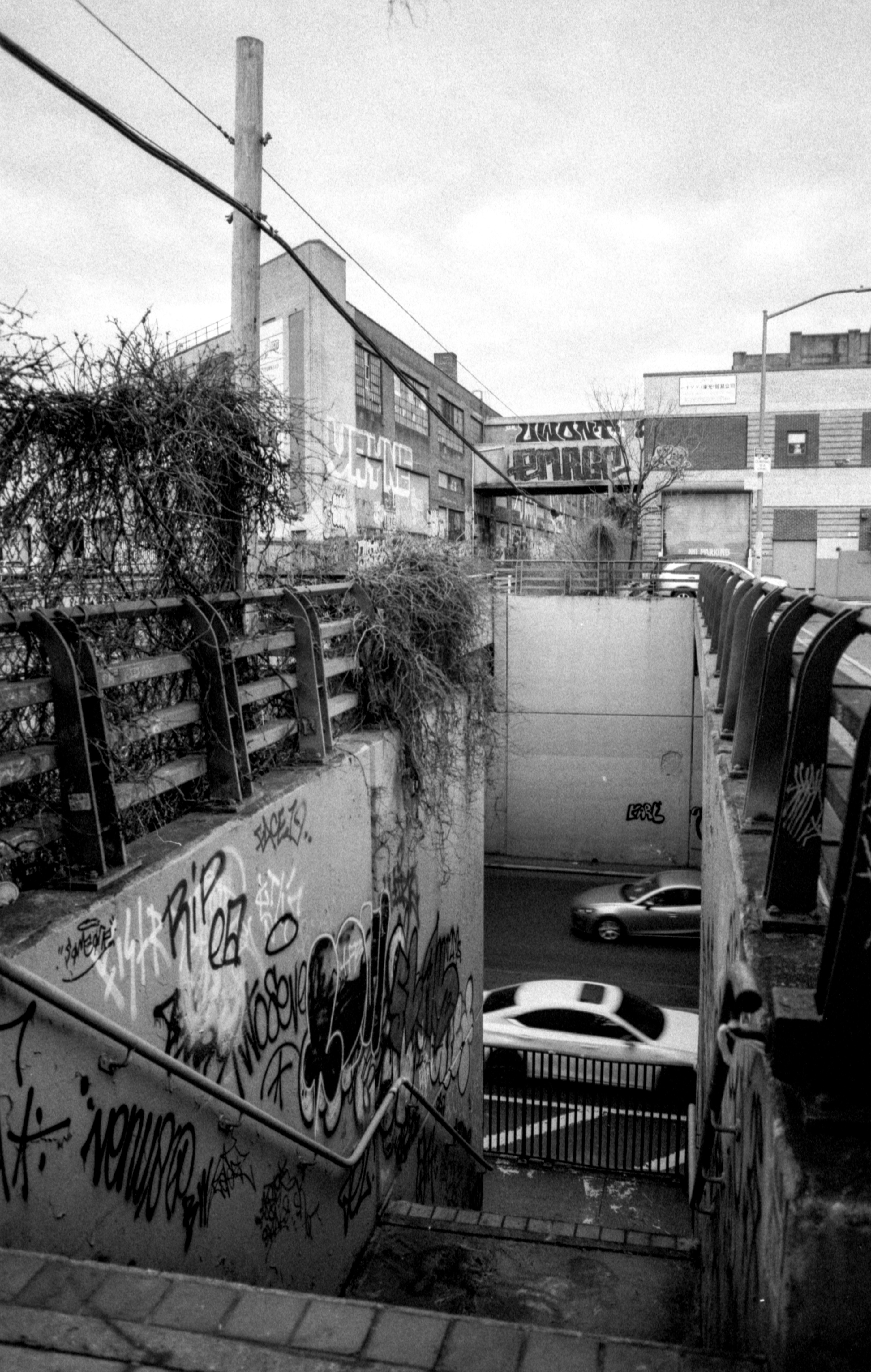 flushing canal stairs