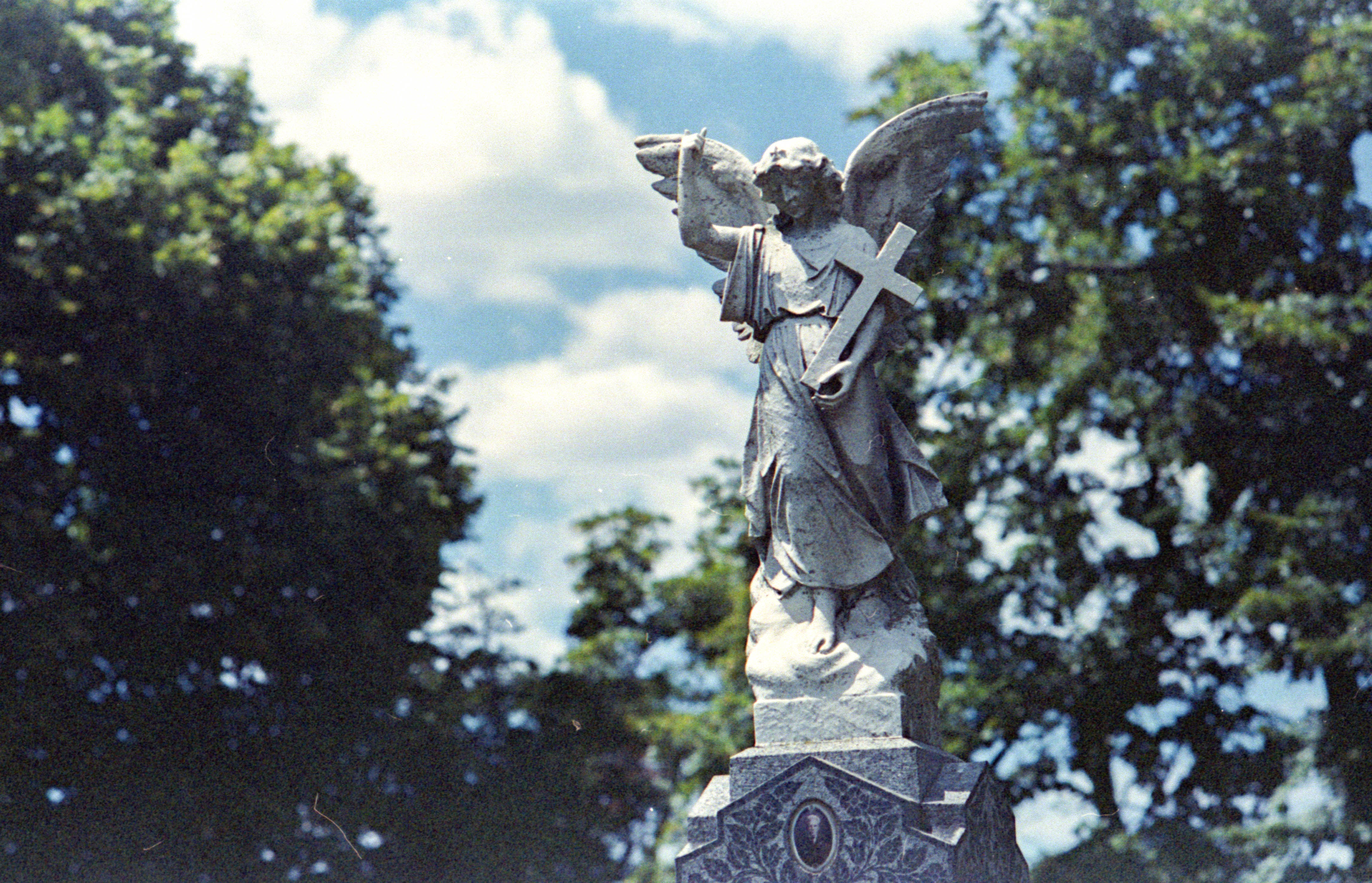 angel