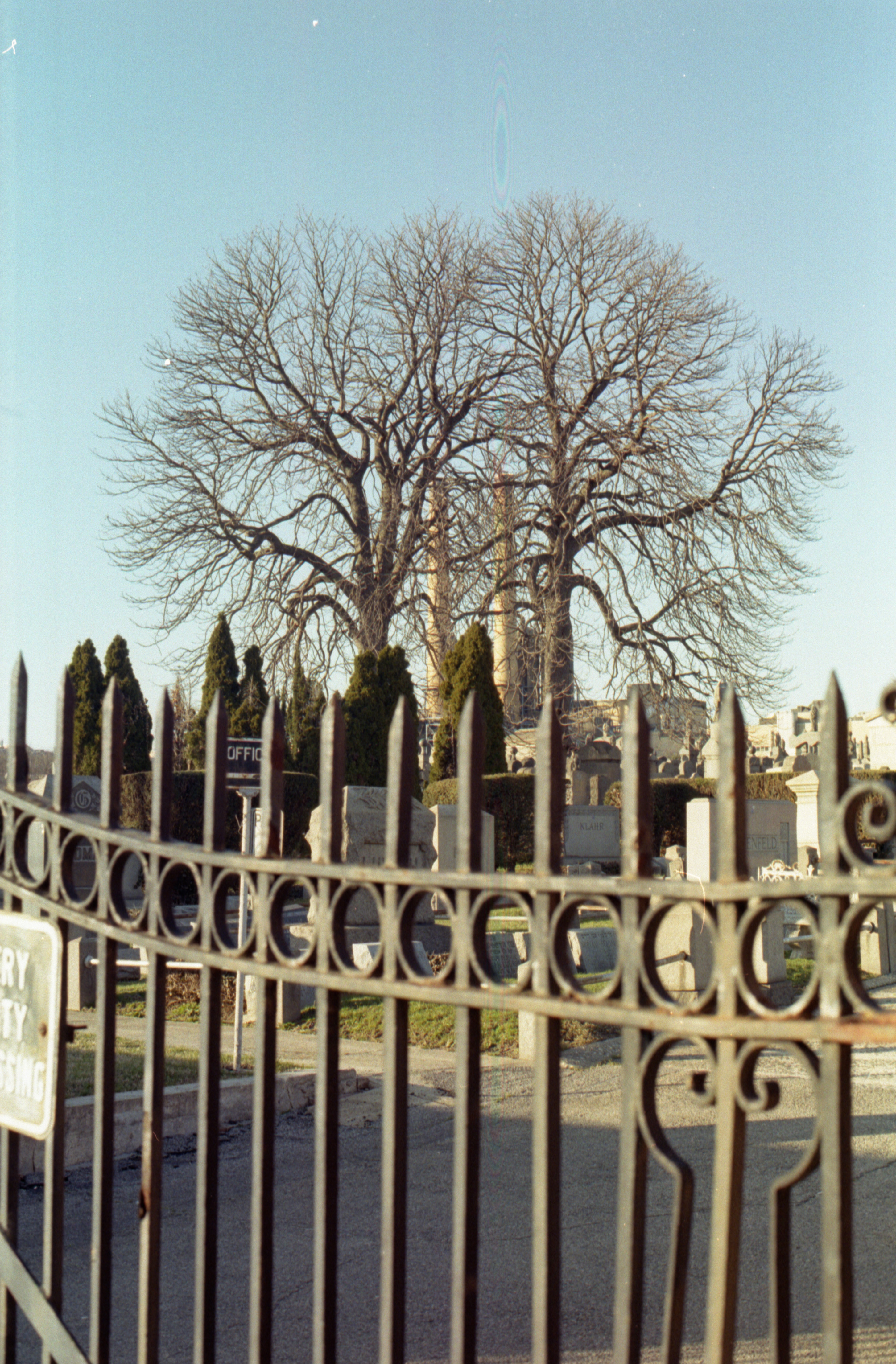 waste plant through trees and cemetary